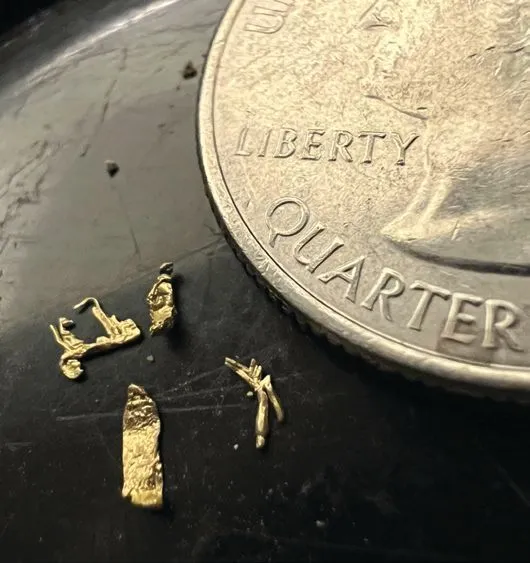Small gold nuggets with a quarter for scale