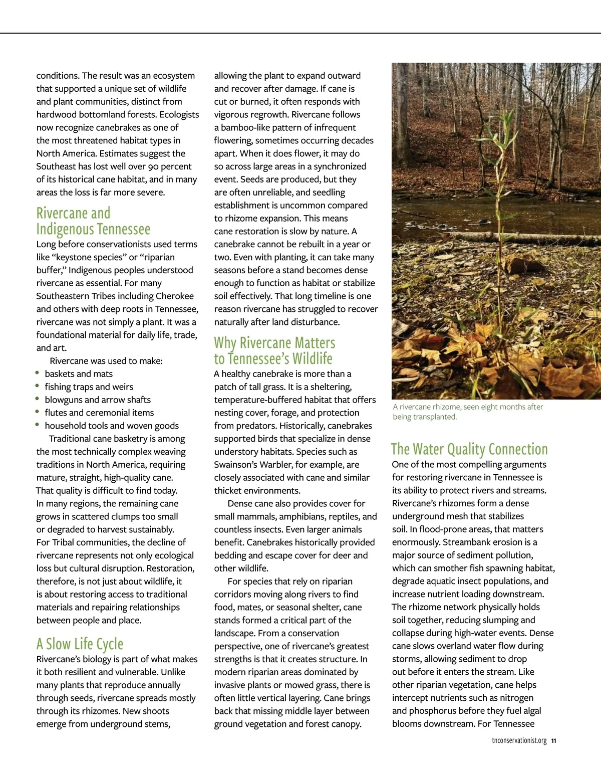 The Tennessee Conservationist • May/June 2026 • Page 10