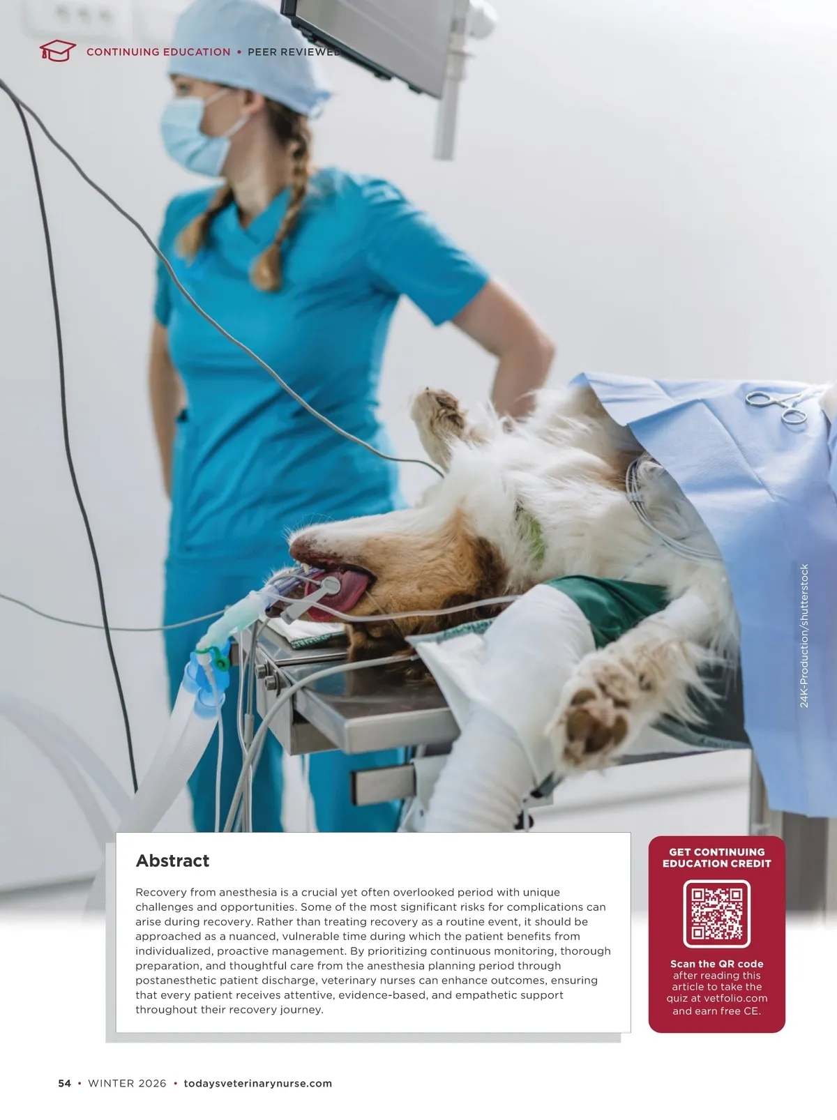 Today's Veterinary Nurse Winter 2026 Page 54
