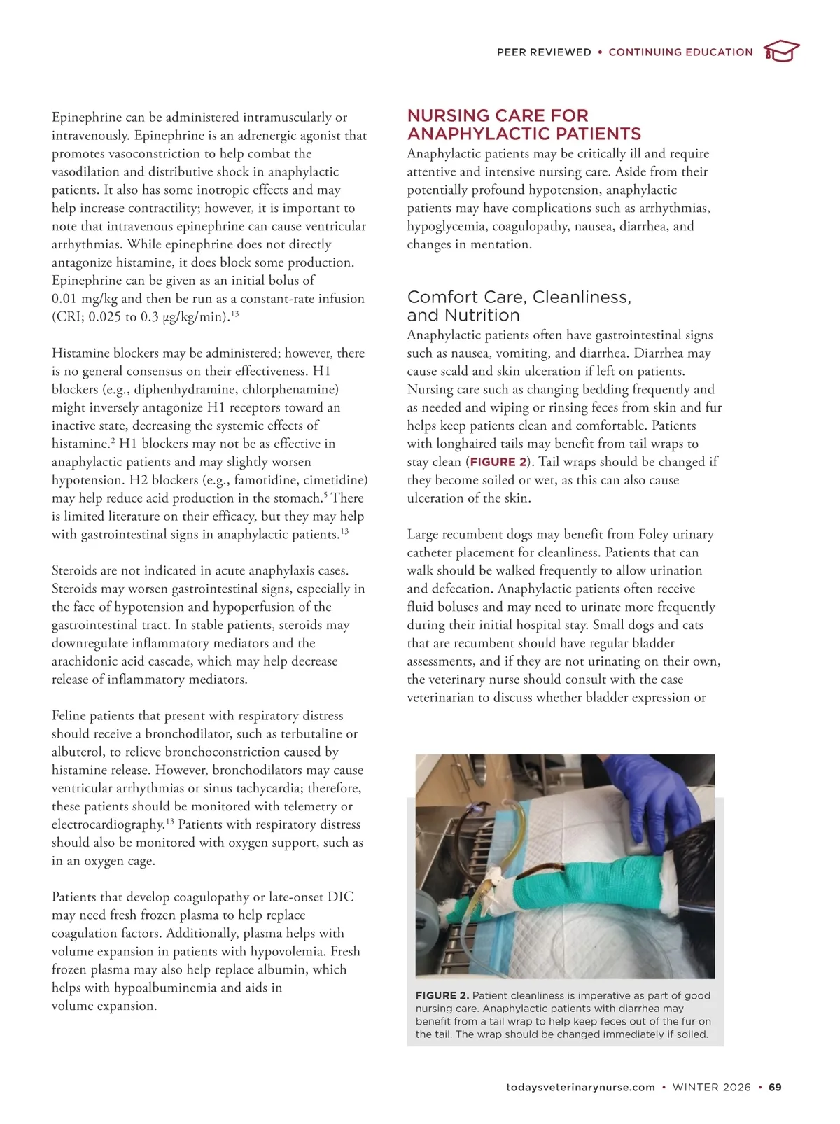 Today's Veterinary Nurse Winter 2026 Page 68