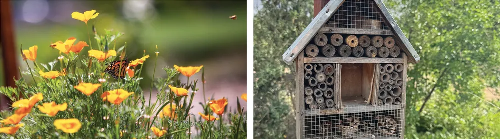 BUTTERFLY GARDEN INCLUDES A QR CODE TOUR, A "BEE CONDO" AND NATIVE PLANTS